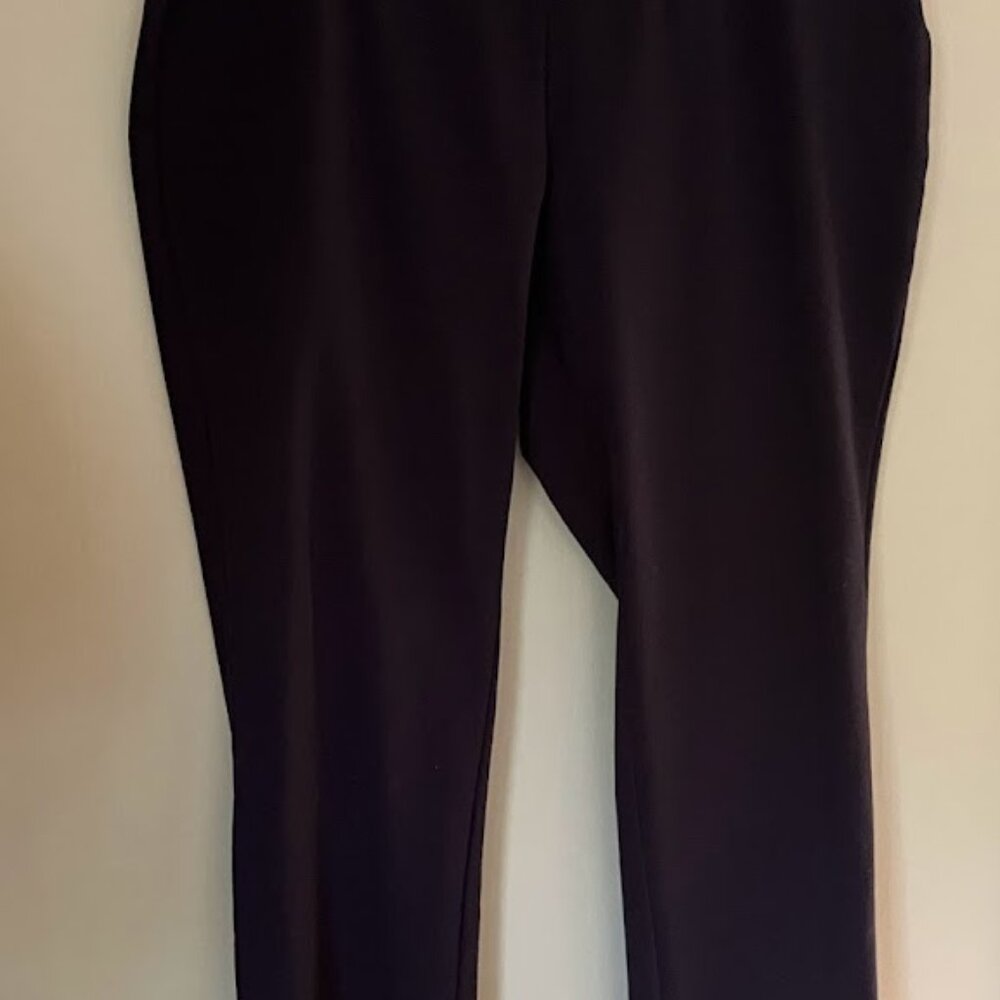 Lands End Starfish size L slim petite pull=on pants